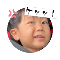 sho_20250902160433