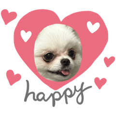 MIMI的專屬貼圖（博美）