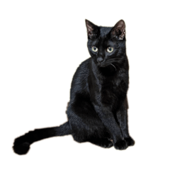 Jiang_20250902201612