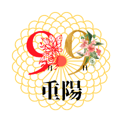 fou-qua-sse8_20250902092116