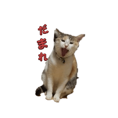 yuka_20250902115850