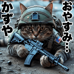 Kazuya dedicated advancing cat army