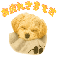 Mugis Cozy Life  Maltipoo Girl Stickers