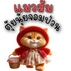 แมวส้มตุ้ยนุ้ยจอมป่วน