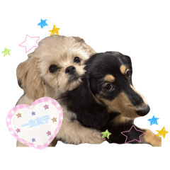 suzu_20250903035722