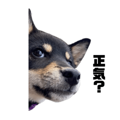 Hana_20250903083500