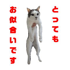 aogon_20250902185858