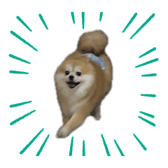 yurika_20250903070918