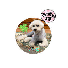 junko_20250902193457