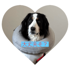 BANIKO_20250902091139