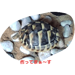 ai.ruru_20250902175014