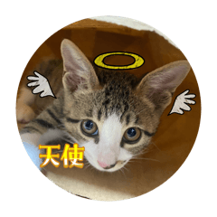 karin_20250902231533