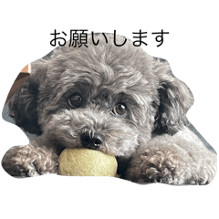 hinata_20250902204100