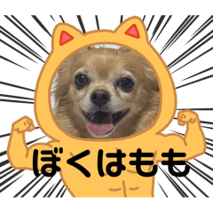 Mumu_20250902204848