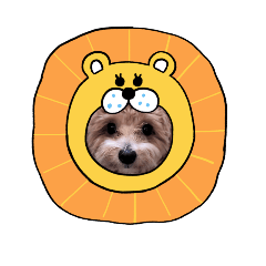 kaoru_20250902234859