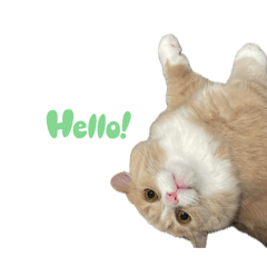 asuka_20250902221032