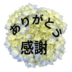 Flowers and Thank You Sticker Set 2