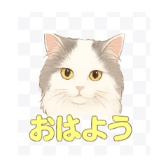 mochi_love