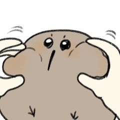 Kiwi's nest-又是莫名其妙鳥