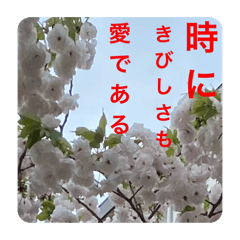 Sunny_20250902192840