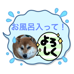 riho_20250902201054