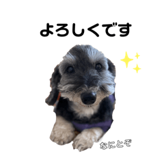 Hug(Wire Dachshund)