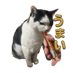 nyanfuku.s