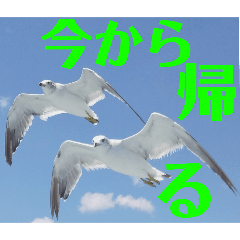 HAMAJIRO_20250903113227