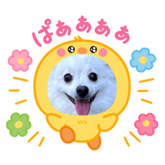 ayachan_20250902224131