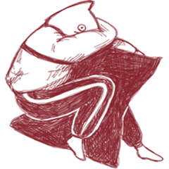 The kitty can not sleep.