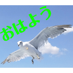 HAMAJIRO_20250903112339