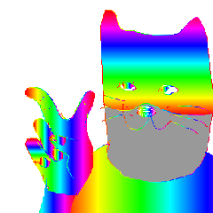 Rain bow Cat