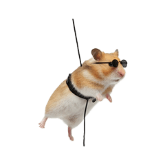 Spy Hamster 007