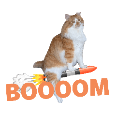 omochi_20250902170059