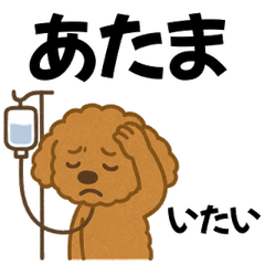 Stay Strong, Little Poodle