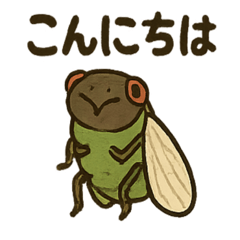 Summer Cicadas