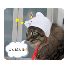 KOKO_20250903133113