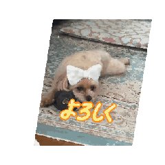 ai_20250903175620