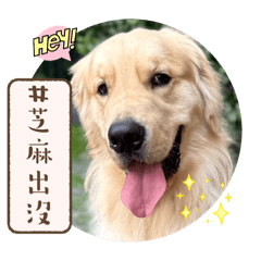 bluemonday.bruce_20250903163809