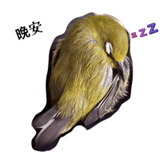 元寶寶的可愛貼圖❤️