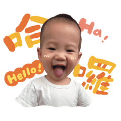 小波陪你鬧事每一天*(^o^)-*