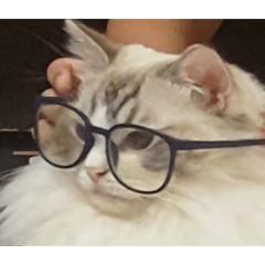 棉花糖與米寶 2