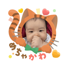 kinkin_20250903123909