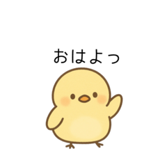 minamo_20250903115154