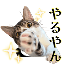 ktovgxatjmt_20250903133826