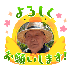 sakura_20250903160654