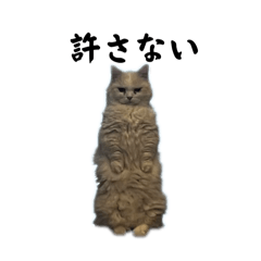 nanami_20250903173522