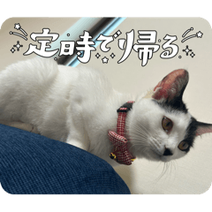 Kazumi_20250903201115