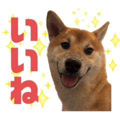 OMOCHI_20250903201554