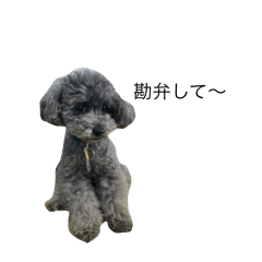 hinata_20250903215144